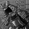 Samurai-Program.jpg