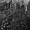 Wind-in-Darkness.jpg